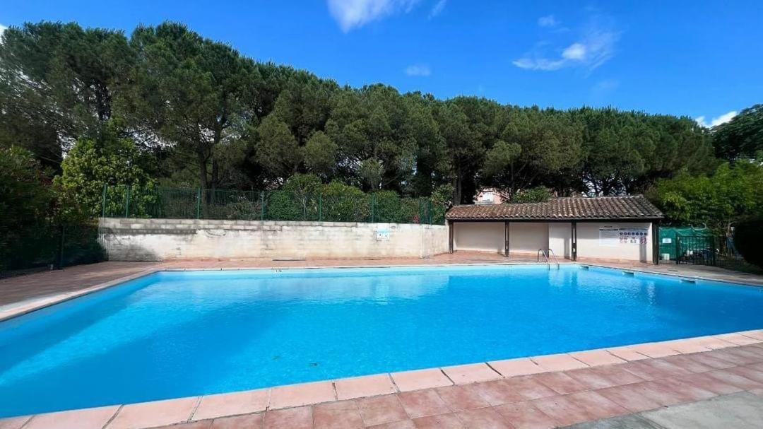 Apartamento Les Capitouls - avec piscine, parking&jardin privé ! Toulouse Exterior foto