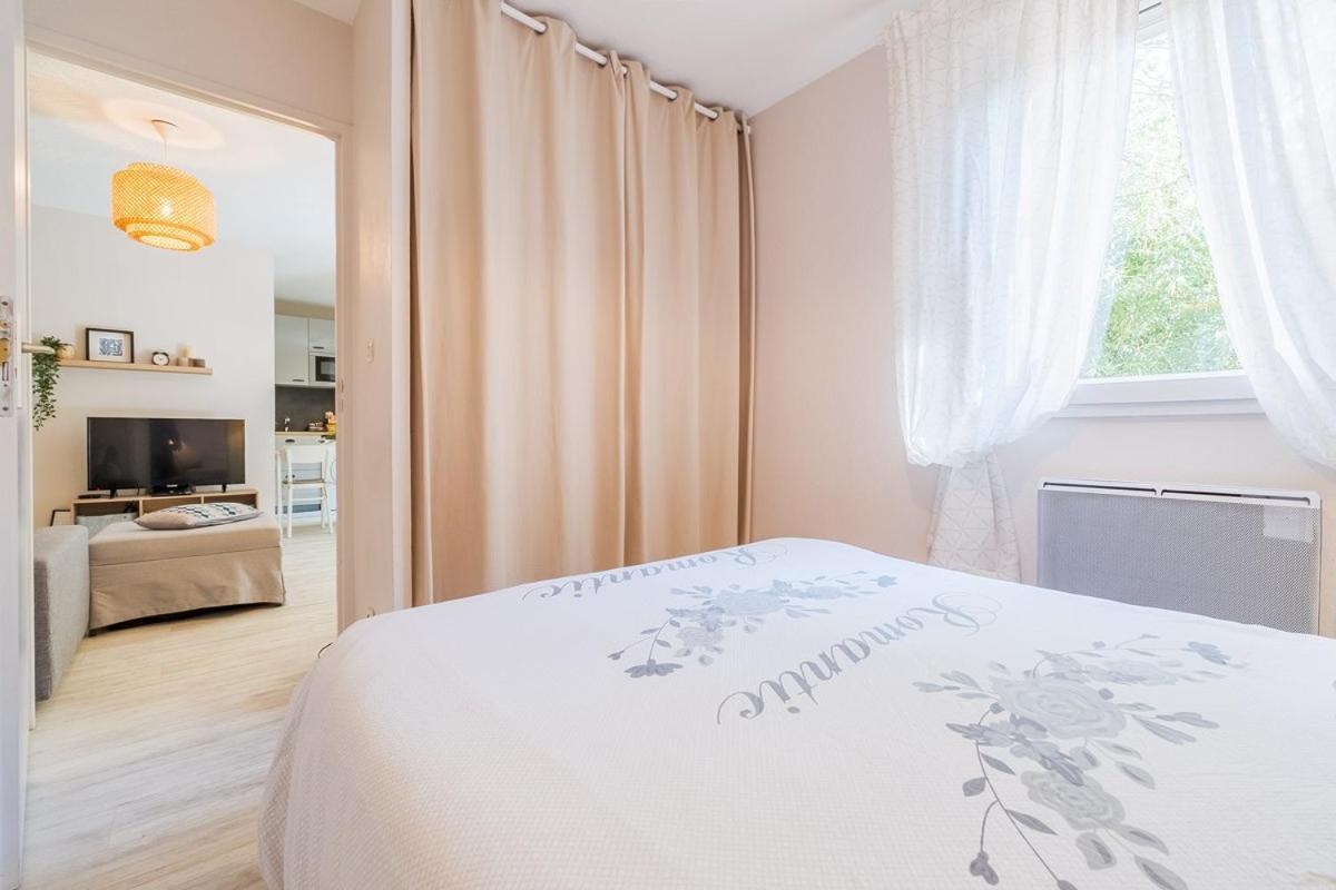 Apartamento Les Capitouls - avec piscine, parking&jardin privé ! Toulouse Exterior foto